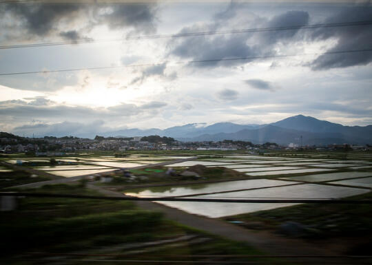 Speeding past rice paddies in the train