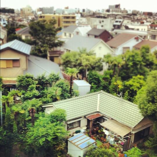 View of houses from the train