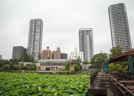 Buildings by the zoo