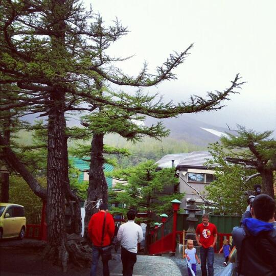 Fuji family walking up to the viewing deck