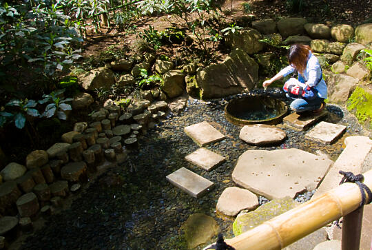 Pure well in the garden inside Meiji Shrine