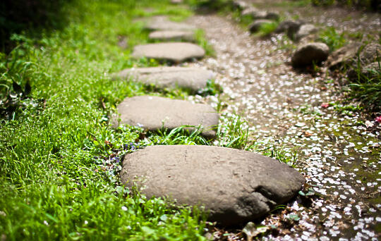 Cobblestone path