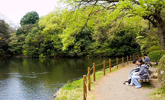 Lake in the garden inside Meiji Shrine