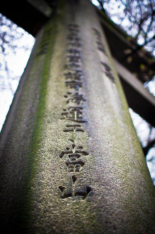 Temple pillar