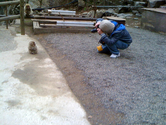 Son taking a picture of the little monkey looking at Son