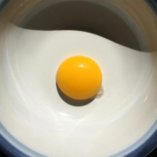 Egg yolk