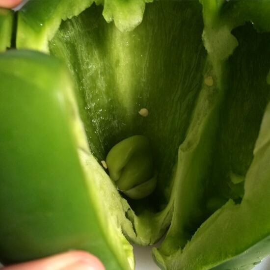 Baby bell pepper