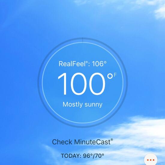 100 degrees!