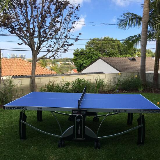 Ping pong table