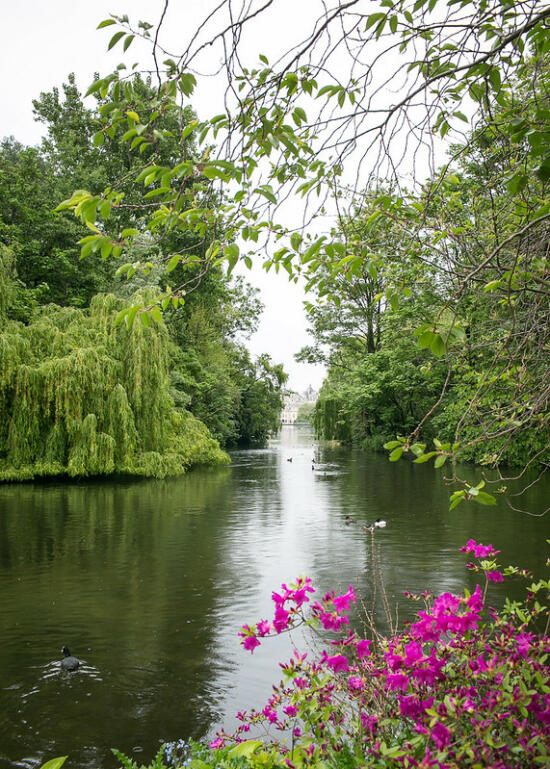 Park near Buckingham Palace