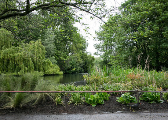 Park near Buckingham Palace